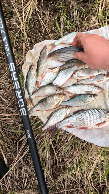 VID_20260423_171007.mp4