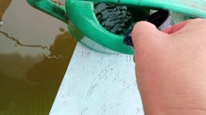 24.04.26 Бассейн(15 г медного купороса)