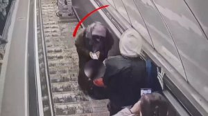 В Петербурге двухлетний мальчик чуть не лишился пальцев на эскалаторе станции «Чернышевская» 

Пока