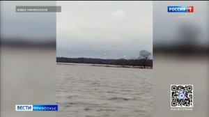 Грациозных, белоснежных лебедей на камеру запечатлел охотинспектор из Воротынского округа