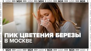 Концентрация пыльцы достигла максимальных значений в Москве