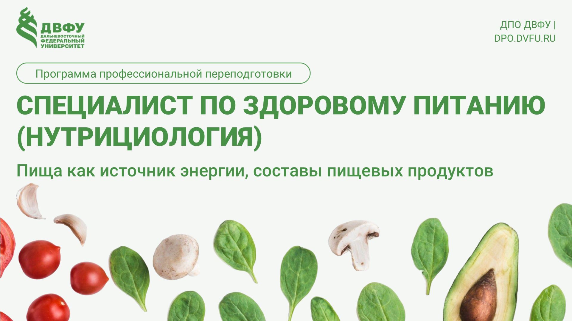 3.3.2 Пища как источник энергии Киселева