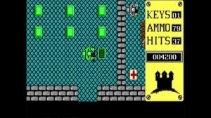 Into the Eagle's Nest [EGA] (1987) [DOS] [IBM PC] [8 Mhz]