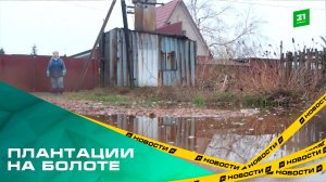 Плантации на болоте. Садовое товарищество под Челябинском ушло под воду