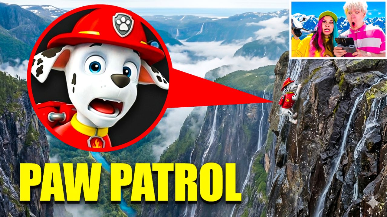 МОЙ ДРОН СНЯЛ ЩЕНЯЧИЙ ПАТРУЛЬ В РЕАЛЬНОЙ ЖИЗНИ!!