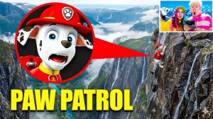 МОЙ ДРОН СНЯЛ ЩЕНЯЧИЙ ПАТРУЛЬ В РЕАЛЬНОЙ ЖИЗНИ!!