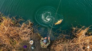  Я ЭТО ЗАПОМНЮ БОРЬБА ДО ПОСЛЕДНЕГО! рыбалка на удочку ловля сазан и карася