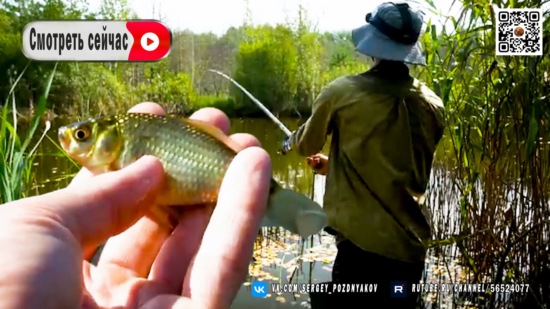 Рыбалка на болоте. Караси так и кишат! 🐟