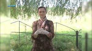 Живая природа (Ящерица)