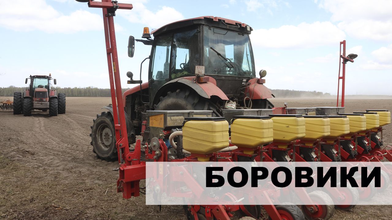 Сев кукурузы