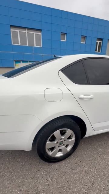 Октавия А7 белая.mp4