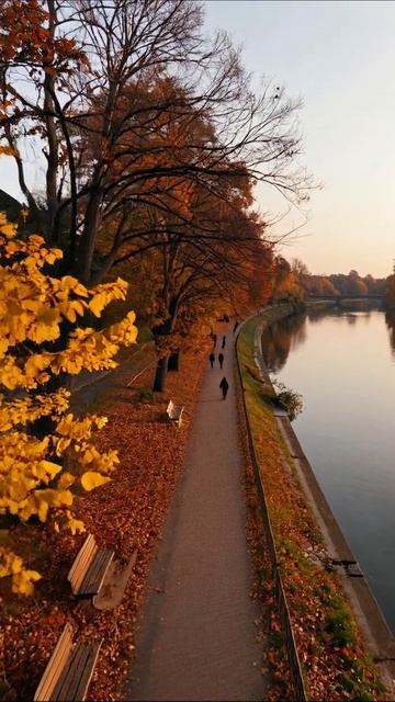 Осенние прогулки у реки #осень #природа