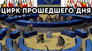 ЦИРК ДНЯ за 23 апреля | Двести ФМ