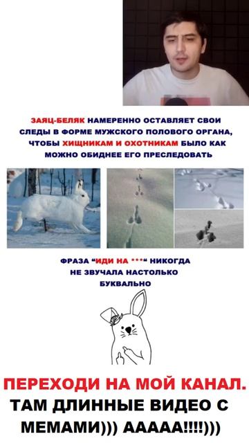 Лютые мемы. Лучшая работа - Школьный УЧИТЕЛЬ