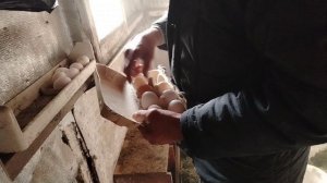 КАК ЖИВУТ В РУССКОЙ ДЕРЕВНЕ... 🏡🏡🏡