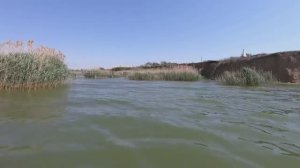 РЕЙД ПО БРАКОНЬЕРСКИМ СЕТЯМ ЧАСТЬ 18