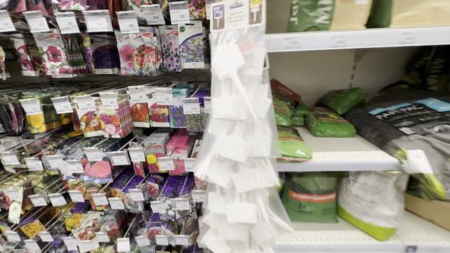 гуляем по лемана про