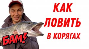 КАК ЛОВИТЬ В КОРЯЖНИКЕ. Щука и судак на джиг спиннинг