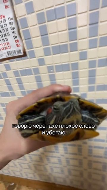 перезалв! с тт! рофл!