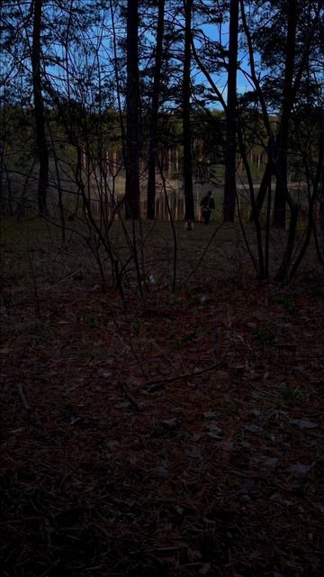 Добегались😁