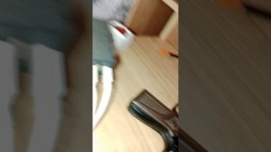 дом и мой день я просто хожу по дому