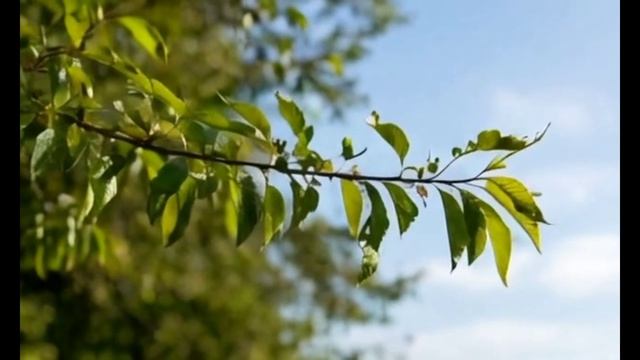 возьми просто