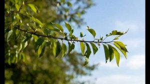 возьми просто