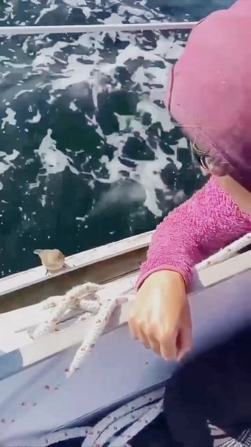 Песня «А благодарность ведь – лучшее средство от зависти»