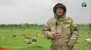 Своя ферма.Герой Мовсар Бибаев. Эфир от 22.04.2026