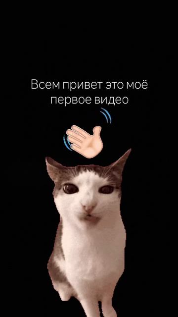 всем привет это моё первое видео подписывайся!!