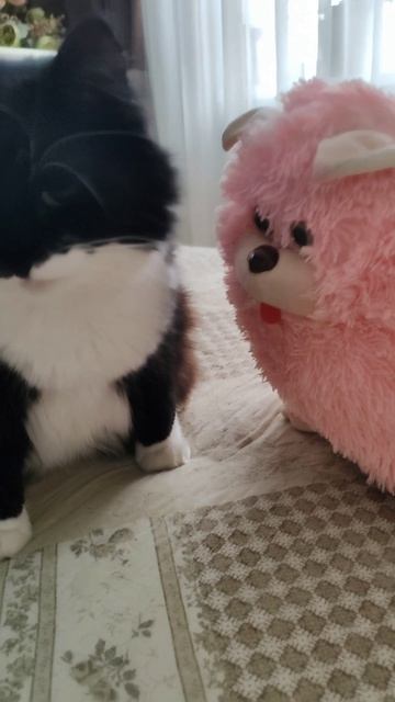 Два сапога - пара