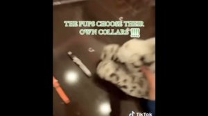 Подборка Douglas из ТТ💘