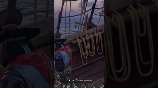 СВОЙ СЕРВЕР В WINDROSE SHORTS #2 #windrose #pirates #fyr #game #games #shorts #stream #dogs #sea