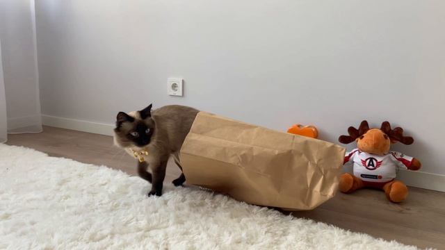 Антуан Воланд Деметра