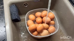 Архив. Курятник😃. Живём в деревне