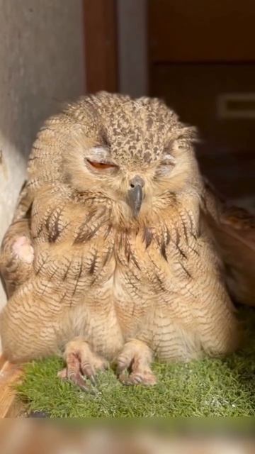 VID_20260424_153425_931.mp4