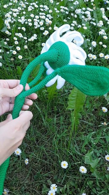 Ромашка вязаная