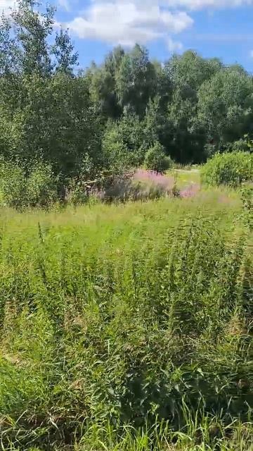 деревня Московка Тюменская область Нижнетавдинский район