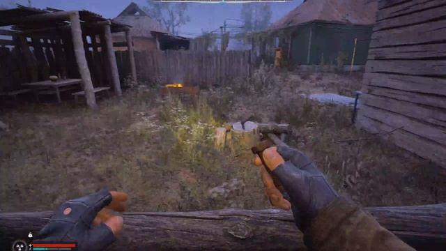 9.S.T.A.L.K.E.R. 2 Heart of Chornobyl  золотом