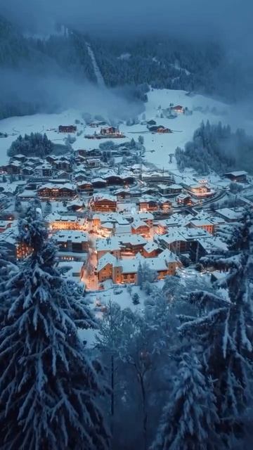 MOV_20260424_135010_662.mp4