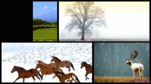 P.O.V. - Moving Of Energy