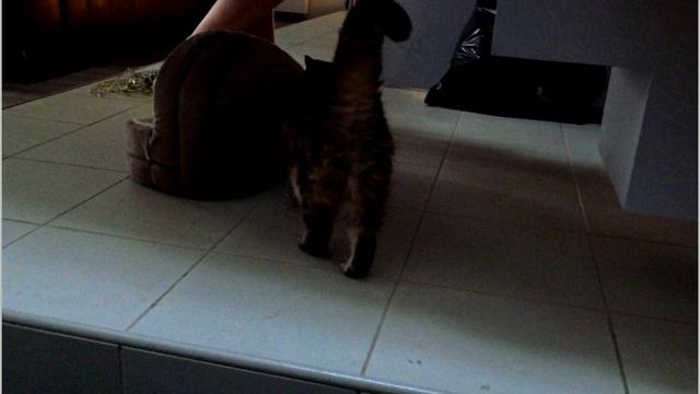 Отпуск в Таллине 23-26 декабря 2025 года