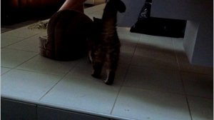 Отпуск в Таллине (23-26 декабря 2025 года)