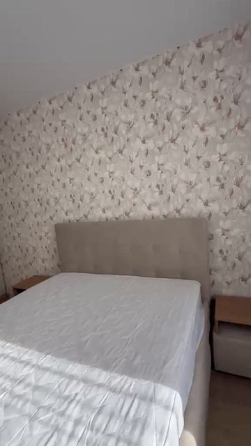 видео невского