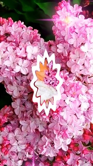 Всего Хорошего тебе!