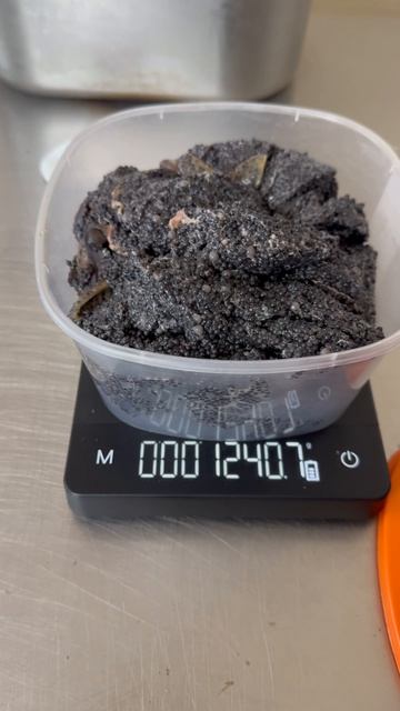 Купить чёрную икру в Астрахани.