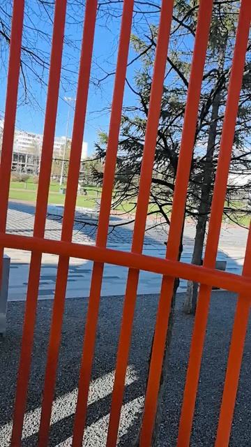 Милану лишь бы куда-нибудь залезть