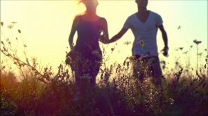 Paris-france-transit.  Мы будем вместе!