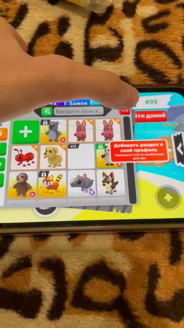 Петы которые мне купил братик❤️🔥❤️🔥❤️🔥