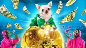 Моя Собака Управляет Игрой в Кальмара  Челленджи со Странным Питомцем